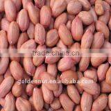 Groundnuts thumbnail-1