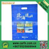 Custom Printed Plastic Bag for Shoes