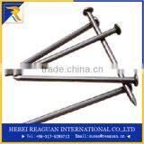 Hot Sale and Best Price 1-3/4"(5D) Fence Nail thumbnail-3