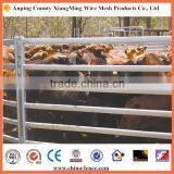 Cattle Corral Panels for Rental