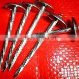 Kenya Market Best Quanlity Roofing Nails thumbnail-5