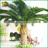 Wholesale Artificial Big Date Palm Tree Fake Plants thumbnail-5