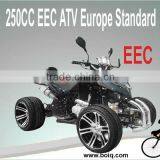 250CC Racing ATVLWATV-205 EEC Promotion thumbnail-2