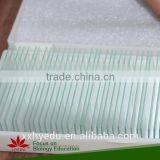 Human Chromosome Microscope Prepared Slides , Male and Female Chromosome Prepared Slide thumbnail-6