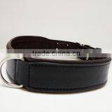Customized Wholesale Quick Release Dog Collar thumbnail-4