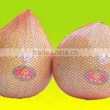 Sweet Pomelo thumbnail-1