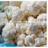 Frozen Cauliflower Green Stem thumbnail-2