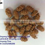 Spicy Coated Peanut thumbnail-1