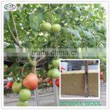 Rockwool Cubes for Hydroponics and Aeroponics