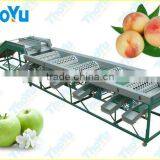 THOYU Brand Stainless Steel Apple Grading Sorting Machine by Diameter(0086 15903677328)