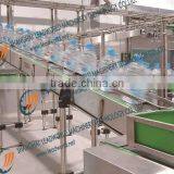 Chain Conveyor For Bottle Packs NTS