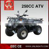 off Road Quad Bike 400cc Buggy thumbnail-1