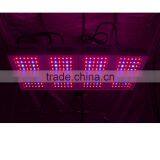 Shenzhen Two Switches With 5 W Cob Chip X300 Led Grow Light thumbnail-2