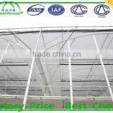 Multi-Span Agricultural Commercial Greenhouses Type and PC Sheet Cover Material Tunnel With Polycarbonate thumbnail-2