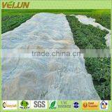 pp Spunbond Nonwoven Cloth for Agriculture & Crop Protection(WJ-AL-0074)