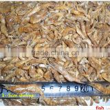 Dried Baby Shrimps Prices