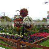 SOL 2015 Good-quality Ball Planter Plastic Ball Green Ball Planter thumbnail-1