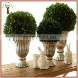 Fresh Boxwood Preserved With White Pot for Christmas Decoration thumbnail-2