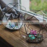Large Terrarium Icosidodecahedron Stained Glass Terrarium Glass Decoration Planter for Indoor Gardening Home Decor Christmas Ter thumbnail-1