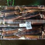 frozen argentina squid for fish bait