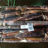 Price of Fresh Squid thumbnail-1