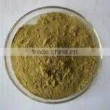 Andrographis Paniculata Extract thumbnail-1