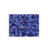 IQF Wild Blueberry thumbnail-1