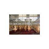 Blood-dropping Conveying Line thumbnail-1