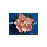 Floating Water Lily thumbnail-1