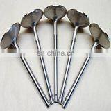 for Honda CRV B20B4 1997-1998 2000CC B18C1 CIVICs SI B16A2 B16 B16a1 B16a3 Ferrea Oem Gold Engine Valve Discounted Manufacturer thumbnail-2