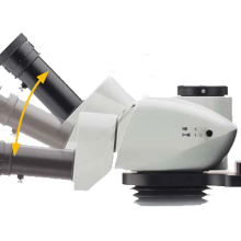 Scientific Grade Stereo-fluorescence Microscope MZX81 thumbnail-4