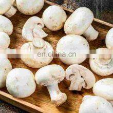 Good Price Mushrooms Pickled From Vietnam thumbnail-4