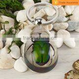 Promotional Gifts Real Bug Flower Sea Horse Scorpion Wholesale Crystal Diy Key Chain thumbnail-3