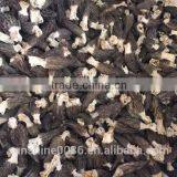 High Quality Dried Wild Morchella/Morel Mushroom From Yunnan China thumbnail-1