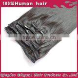 Highest Quality Kinky Curly Hair Clip in Hair Extensions