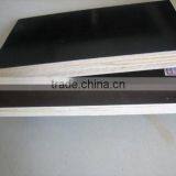 17mm Black Film Concrete Film Faced Plywood Manufacturer thumbnail-1