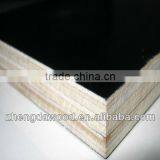 1220x2440 18mm Film Face Plywood for Construction thumbnail-1