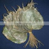 Dry leaf for decoration