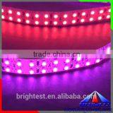 SMD 3528 CCT Adjustable Pink Color LED Strip Light IP20 12V Led Lights Double PCB High Brightness Decoration Lighting