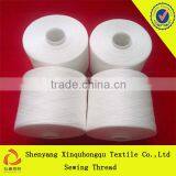 T40s/2 China 100% Yizheng spun polyester industrial sewing thread