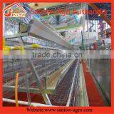 Chicken Use Welded Wire Chicken Layer Cages Chicken Farm Equipment 120 Birds thumbnail-4