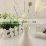 New Desgin Scented Reed Diffuser Set for Name Brand Wholesale / Promotion/Christmas