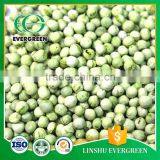 Wholesale Chinese Freeze Dried Green Pea thumbnail-5