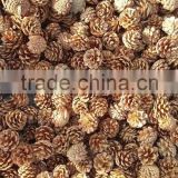 natural color pine cone for christmas tree decoration