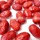 Organic level one red dates jujube price for the world