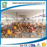Low Cost Steel Frame Chicken House for Broilers thumbnail-1