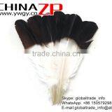 CHINAZP Wholesale Cheap Brown Half Dipped Bicolourable Turkey Feathers for Fashion Decorations thumbnail-4