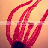 17pcs Indonesia Designated Mixed Microscope Research Glass Prepared Slides