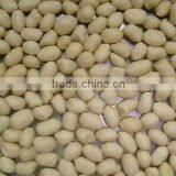 Round Blanched Peanut Kernels 2 *12.5kgs Vaccum Bag/carton thumbnail-1