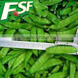 Delicious Frozen Pea Pods, Chinese Golden Supplier thumbnail-1